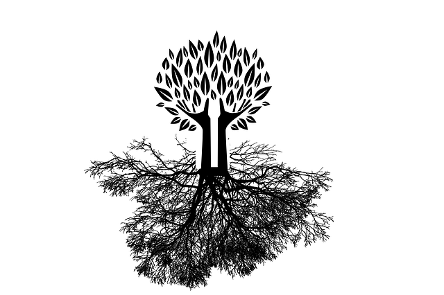 Blog article
